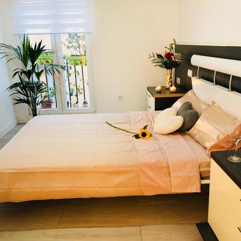 Apartment in Sol - Apartamento Estudio - 4
