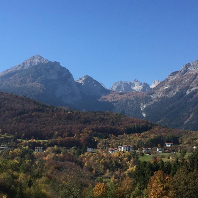 Casa Dalsass - Appartamenti nel verde - One-Bedroom Apartment - 15