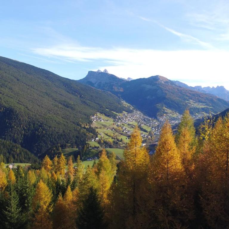 Residence Rumanon - Appartamento con 1 Camera da Letto (4 Adulti) - 9