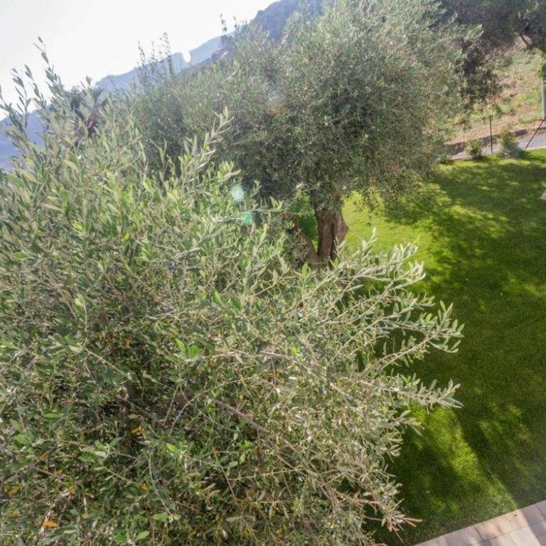Sugli Allori - Casa Vacanze - 21