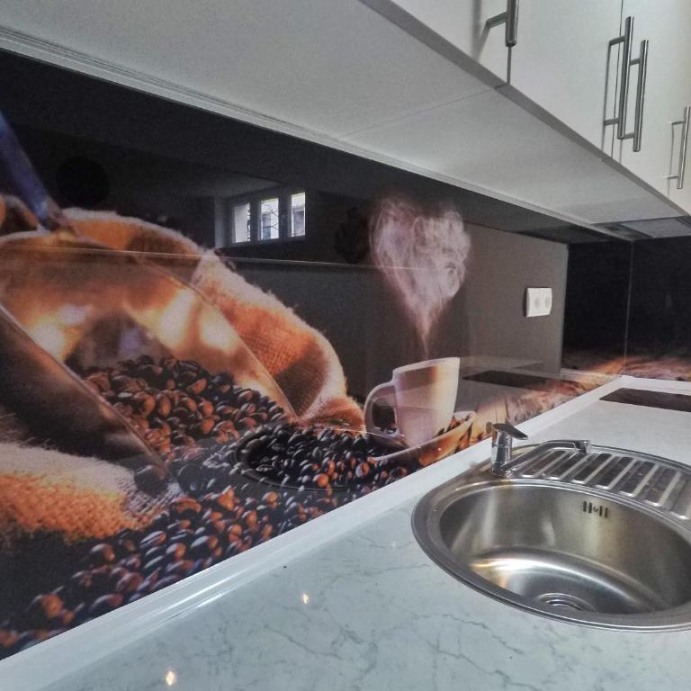 Studio apartman Centar - Studio Apartman - 19