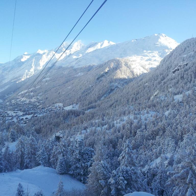 Chalet Samson - Appartement 3 Chambres - 29
