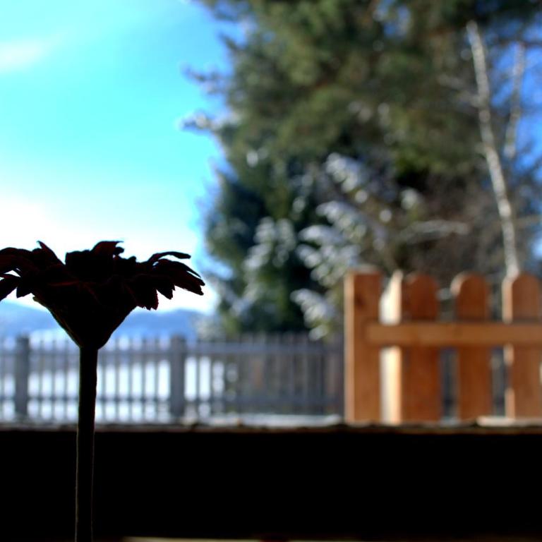 Haus Susanne - Doppelzimmer mit Terrasse - 5