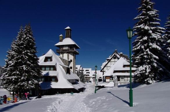 Apartment Dream Konaci - Studio Apartment with Mountain View - 30