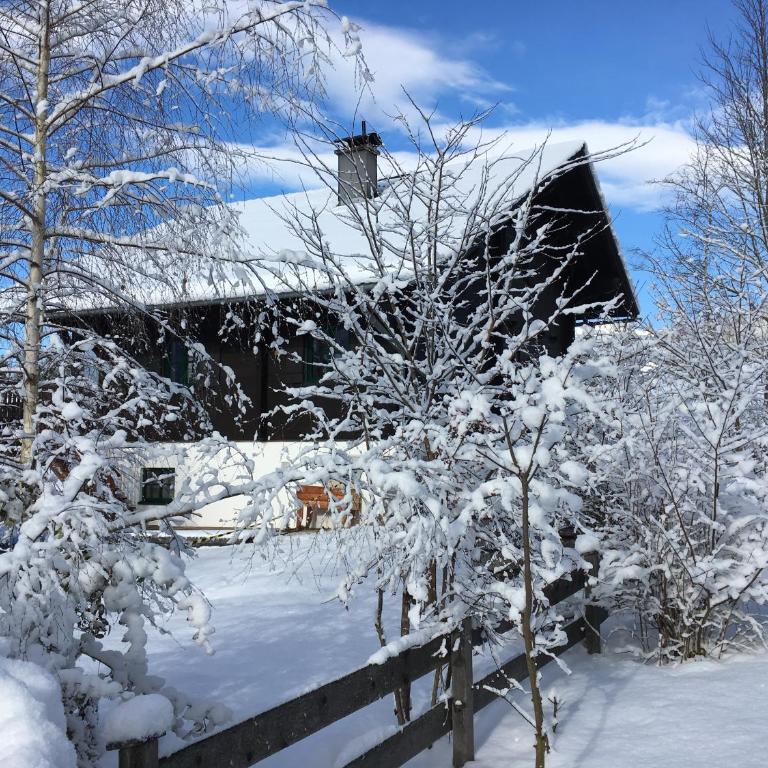 Ausseer Chalet (nahe Hallstatt), Ferienhaus - Chalet 4 Chambres - 21