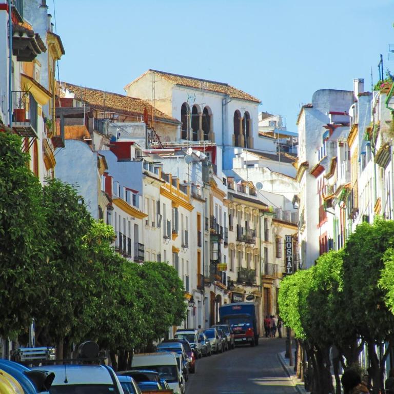 Córdoba con Encanto LUBI I - Apartamento de 1 dormitorio - 29