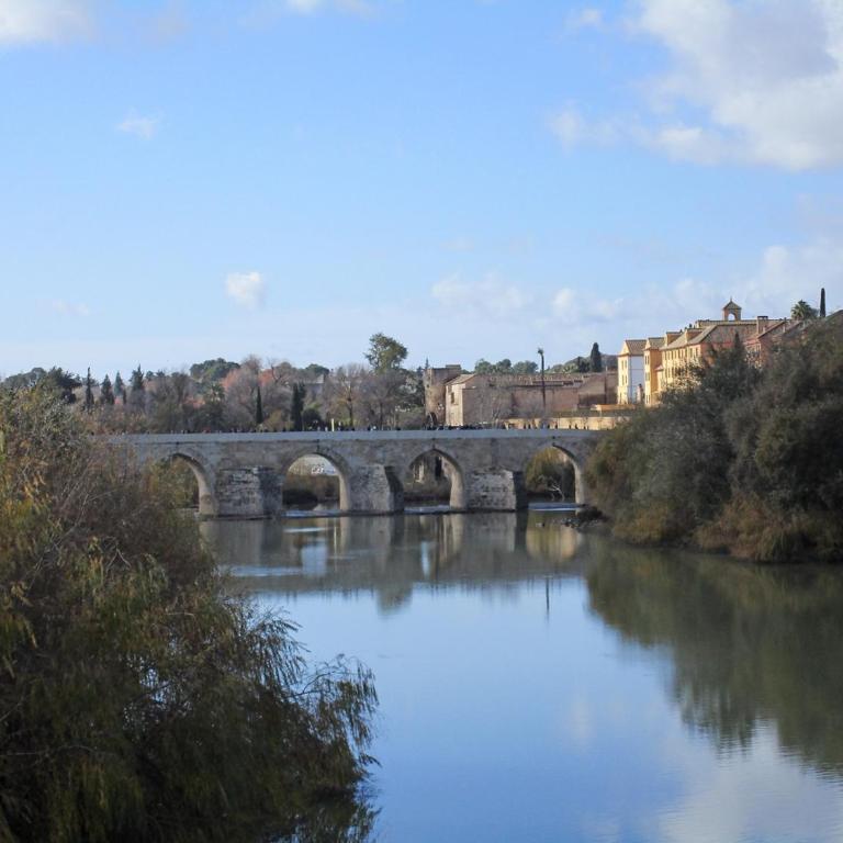 Córdoba con Encanto LUBI I - Apartamento de 1 dormitorio - 31