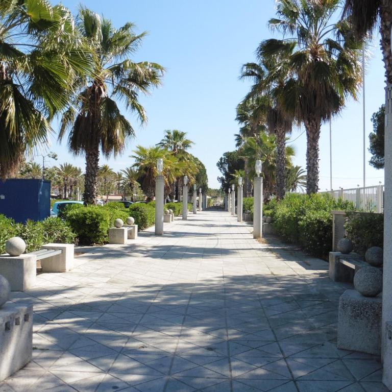 App T2 cozy Proche de la Mer - Appartement 1 Chambre - 32