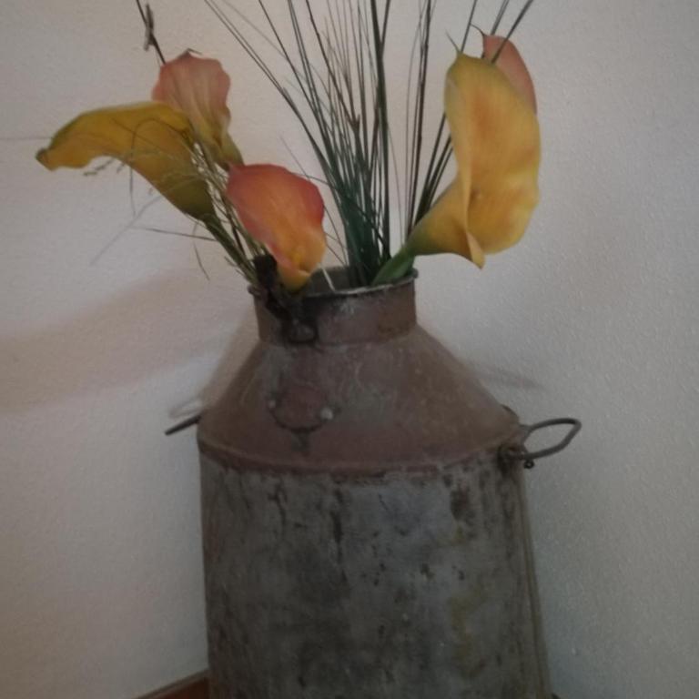 Ferienwohnung Fichtenholz - Apartment mit 2 Schlafzimmern - 15