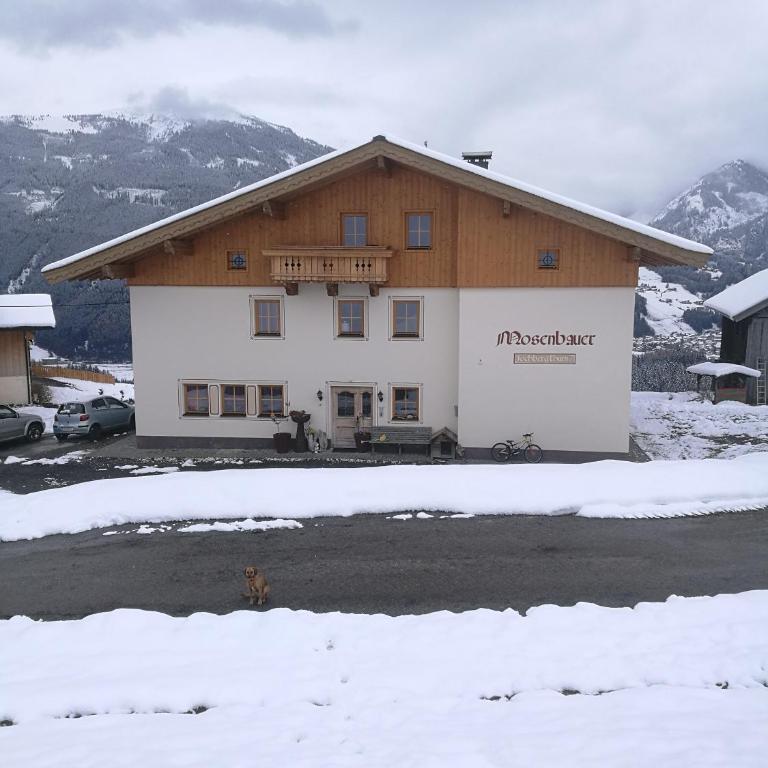 Ferienwohnung Fichtenholz - Apartment mit 2 Schlafzimmern - 2