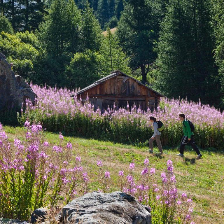 Chalet Carpe Diem - Chalet 2 Chambres - 29