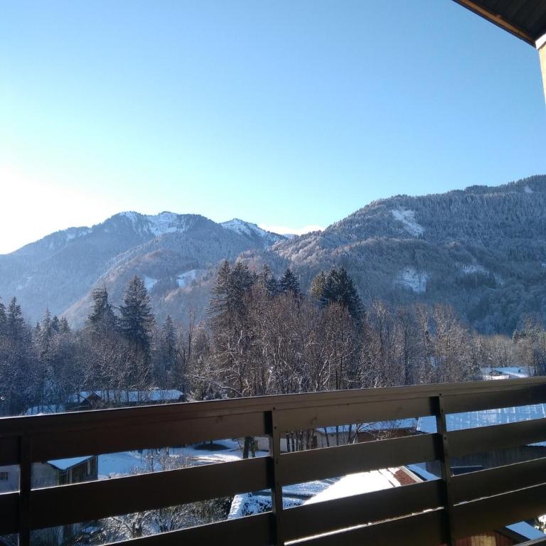 Multi résidences Samoëns - Studio (4 Erwachsene) - 8