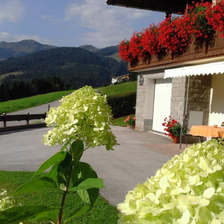 Appartement Schilcher - Apartment mit 2 Schlafzimmern und Terrasse - 1