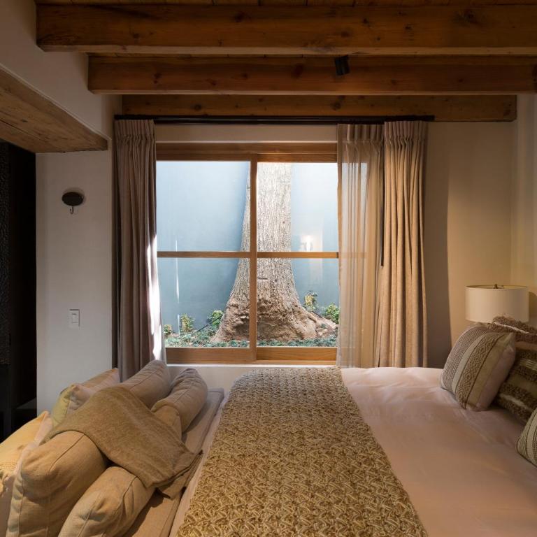 La Casa Rodavento - Suite - 3