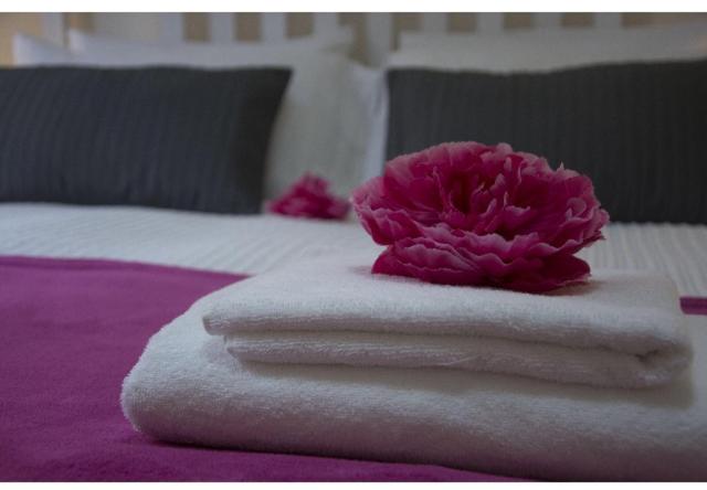 EMI House Re di Roma, Appartamento con 3 camere da letto, 80 mq - Casa con 2 Camere da Letto - 5