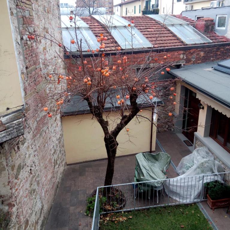 Appartamento Rifredi - Appartamento con 2 Camere da Letto - 5
