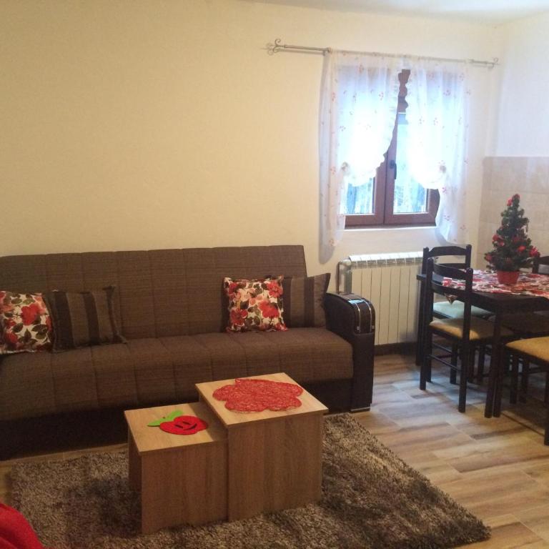 Apartments Popovic - Apartman sa 1 Spavaćom Sobom - 16
