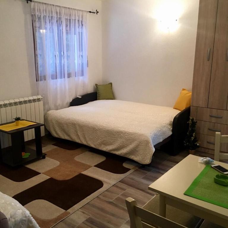 Apartments Popovic - Studio sa Balkonom - 13
