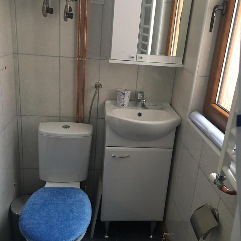 Apartments Popovic - Studio sa Balkonom - 10