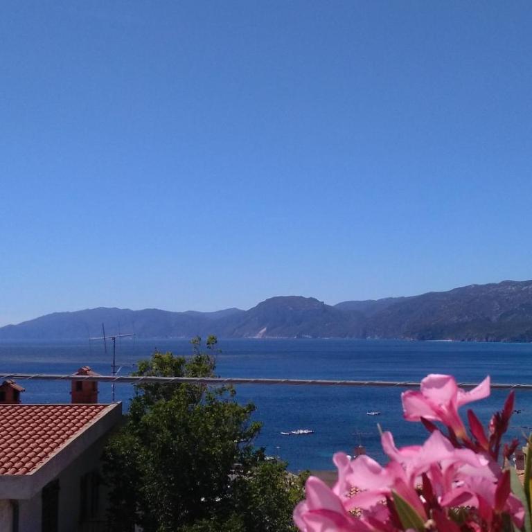 Sebastian House - Appartamento - 1