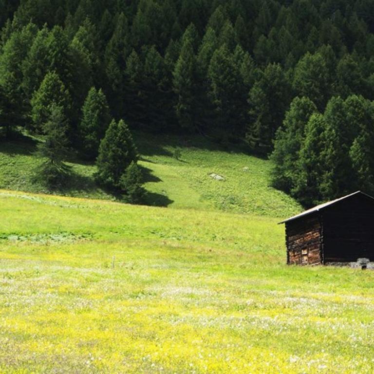 Mountain Apartments - Appartamento - Piano Terra - 14