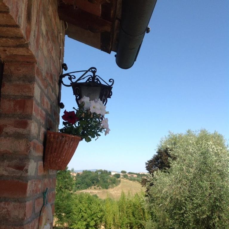 Agriturismo La Collina - Monolocale - 1