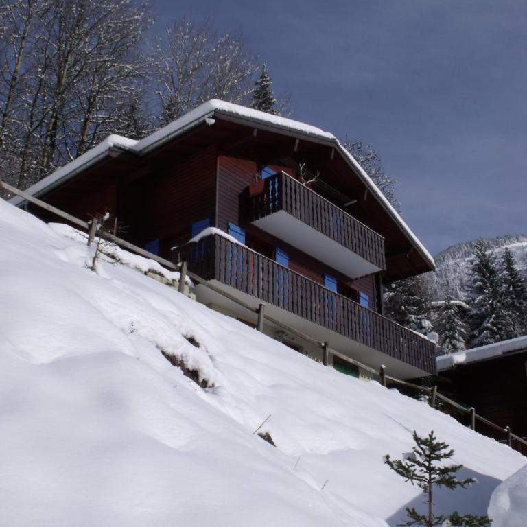 Le Ciel Bleu - Chalet - 1