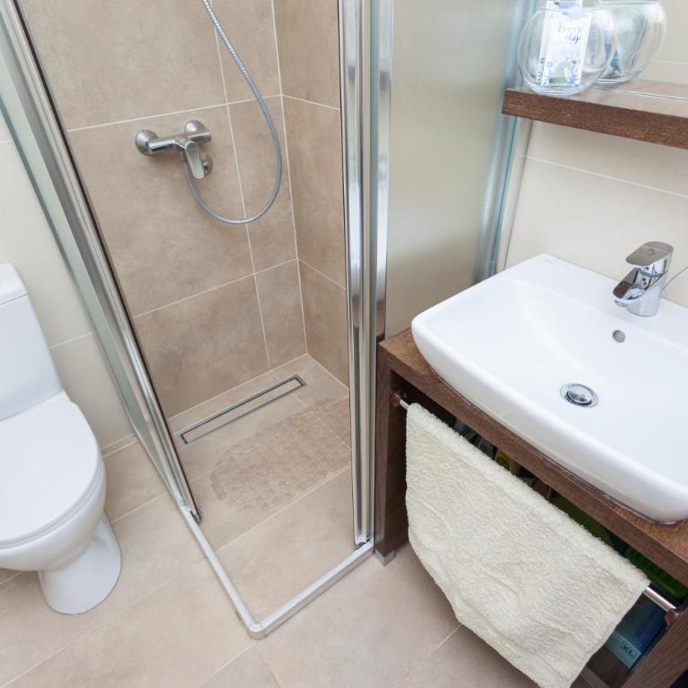 Astra Apartment - Apartman - 27