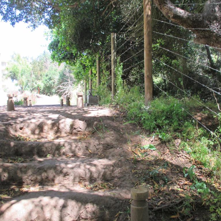 Lomas de Papudo III - Apartamento - 19