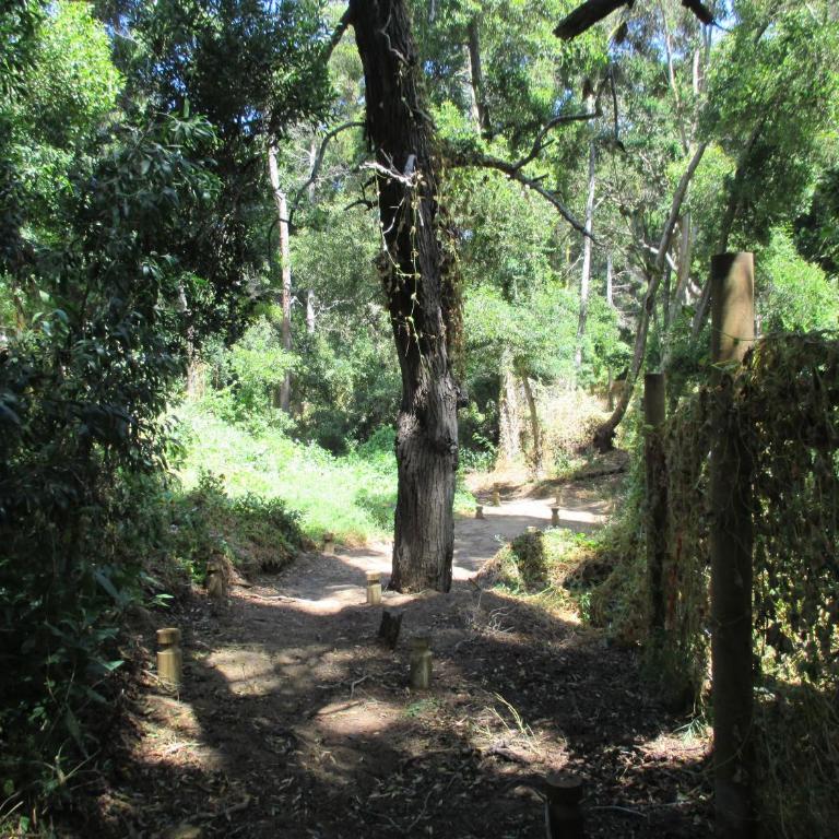 Lomas de Papudo III - Apartamento - 17