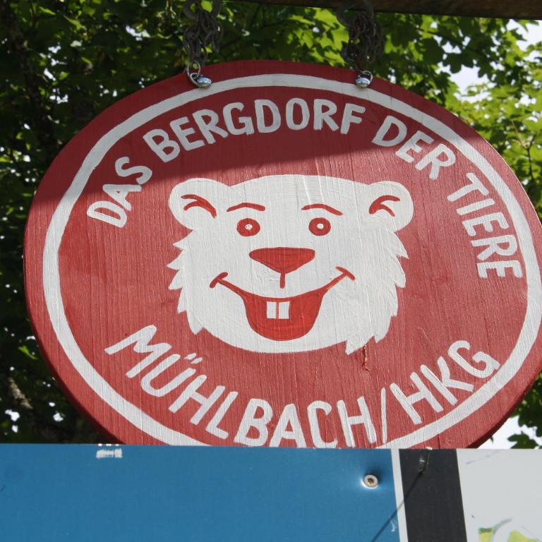 Mühlbach Alpendomizil II - Studio-Apartment - 18