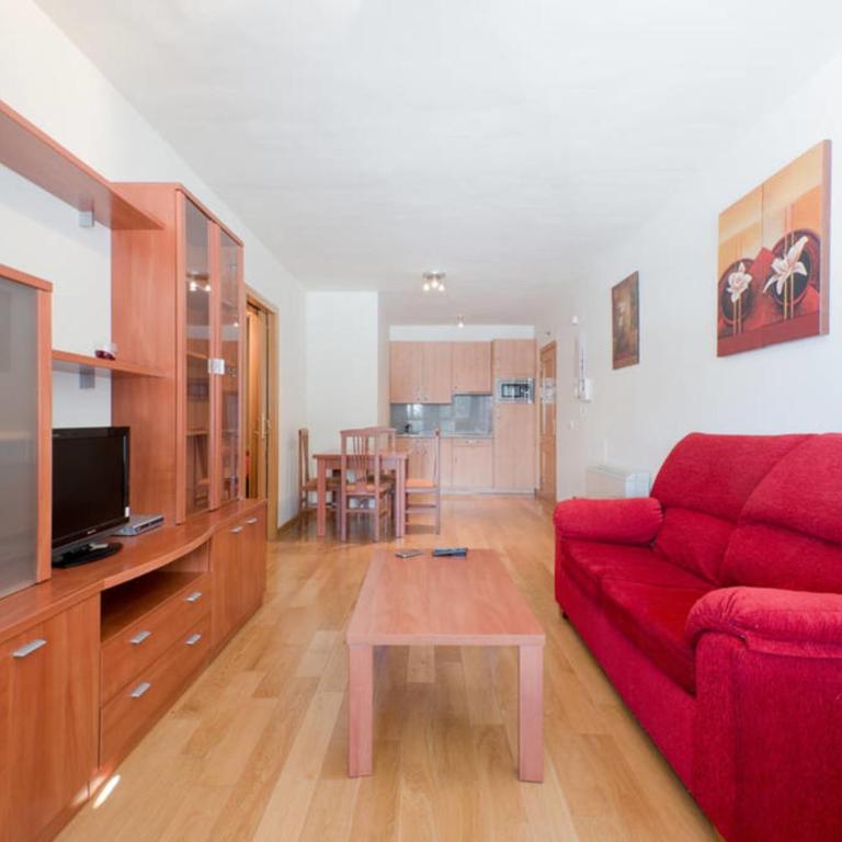 Apartamento Deluxe a Pie de Pista Miramar Ski - Apartamento Deluxe - 10