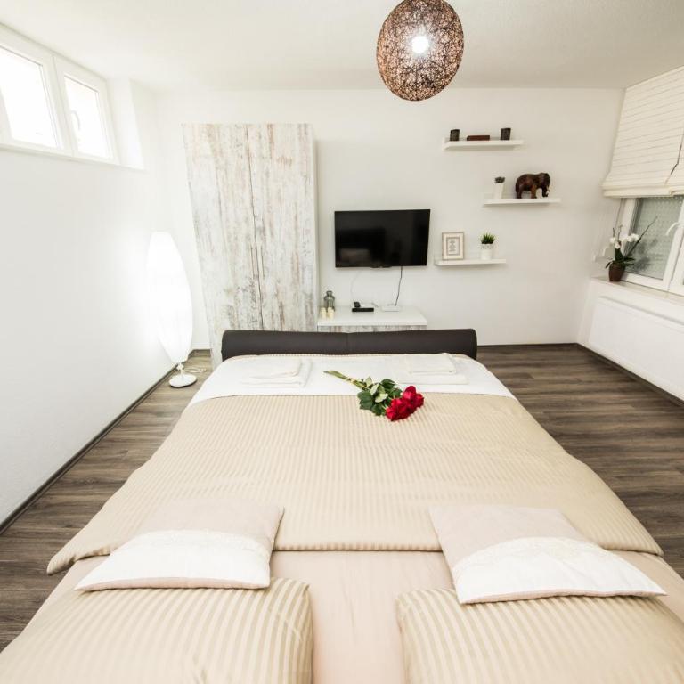 Studio apartman Centar - Studio Apartman - 10