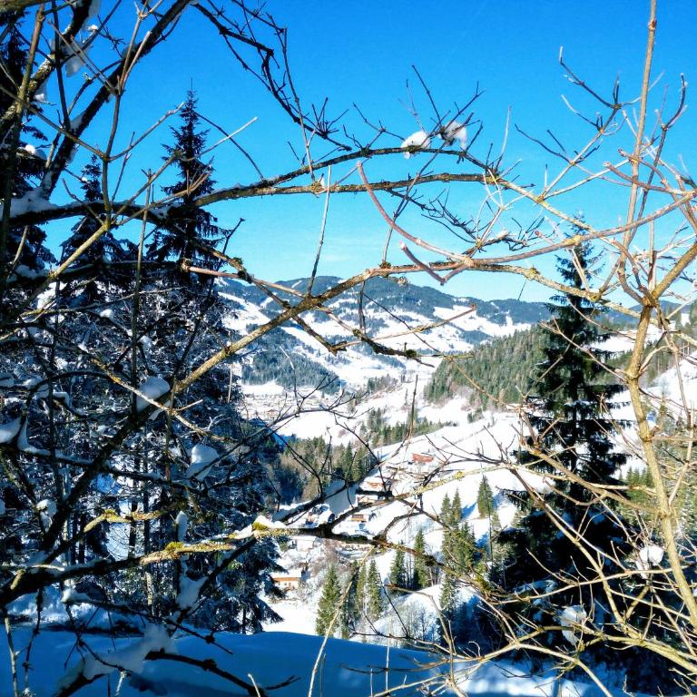 Pension Chalet Bergseegut - Doppelzimmer mit eigenem Bad - 10