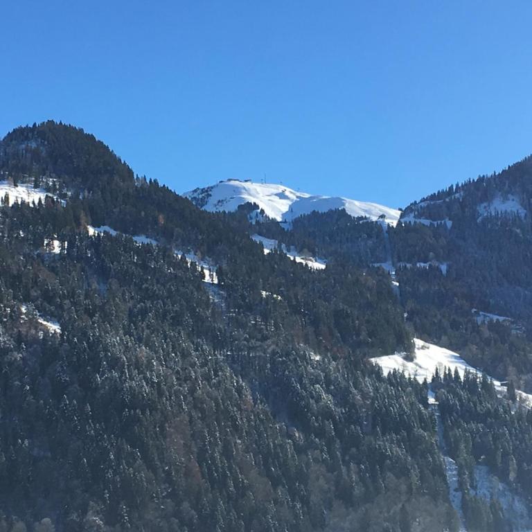 Bauernhof Hinterfirst - Apartamento con vistas a las montañas - 23