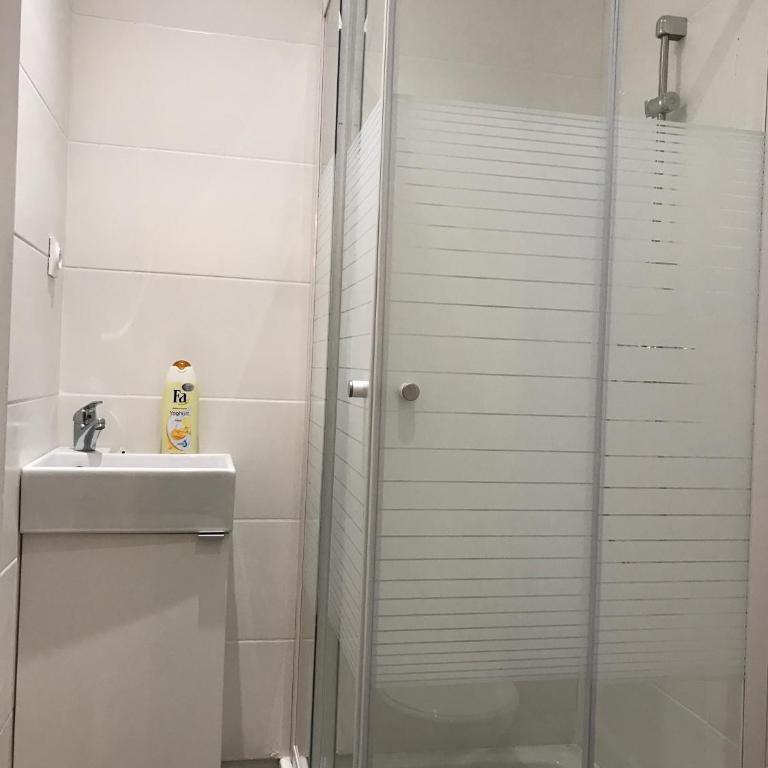Luxury Suite Lilas 2 - Studio-Apartment - 3