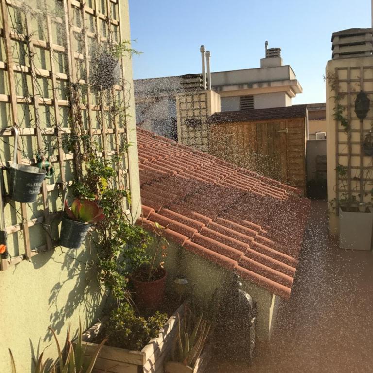 Atico San Crispin - Apartamento Ático - 54