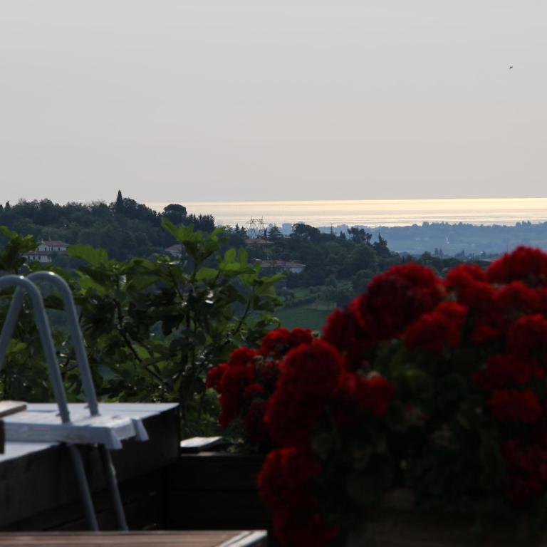 Casa S.Paolo - Villa - 21
