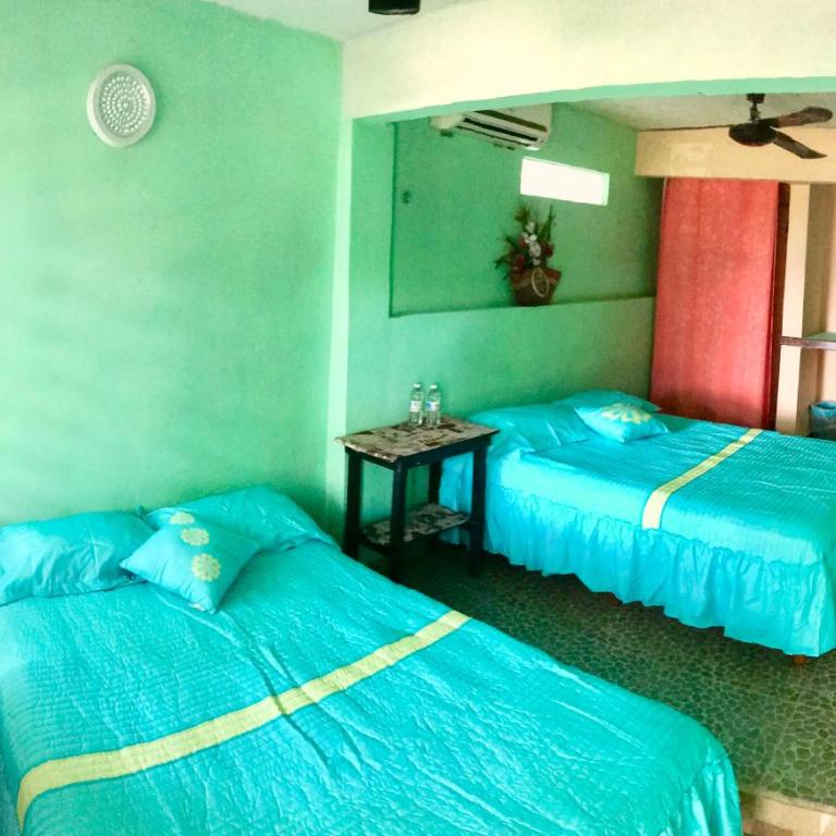 Ecocamping Yaxche - Habitación Cuádruple con baño privado externo - 5