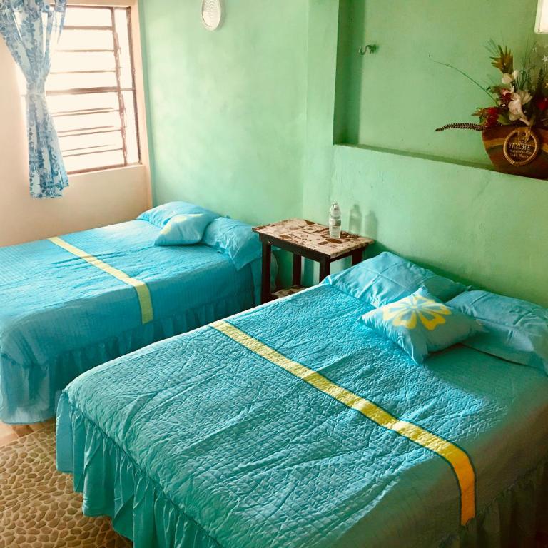 Ecocamping Yaxche - Habitación Cuádruple con baño privado externo - 7