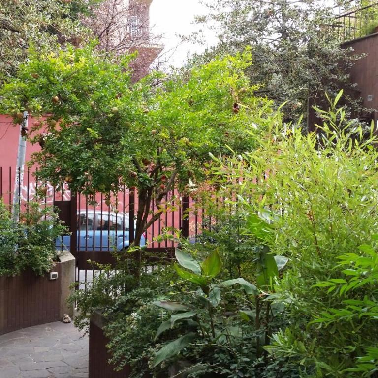 La Casetta del Vaticano - Two-Bedroom House - 19