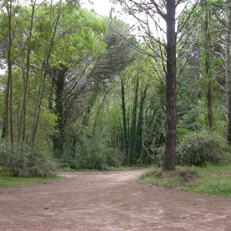 Loft Hadas del Bosque - Bungalow (4 adultos) - 2