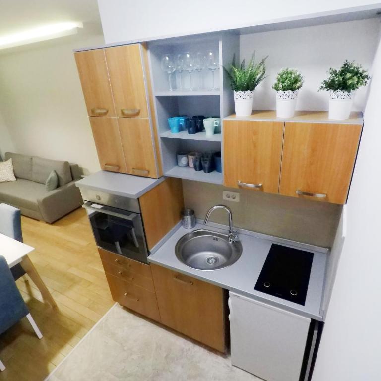 Apartment Beli Andjeo - Apartman sa Pogledom na Planinu - 10