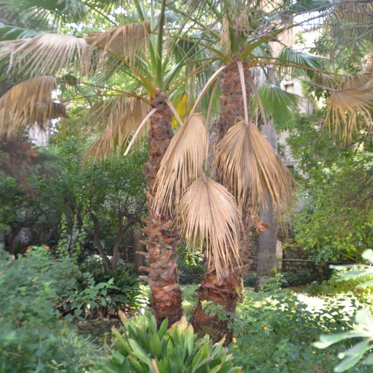 Il Giardino di Caronda - Three-Bedroom House - 36