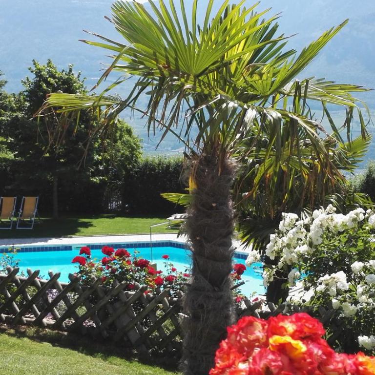 Kerschbamerhof im Süden Südtirols - Apartment with Pool View - 34