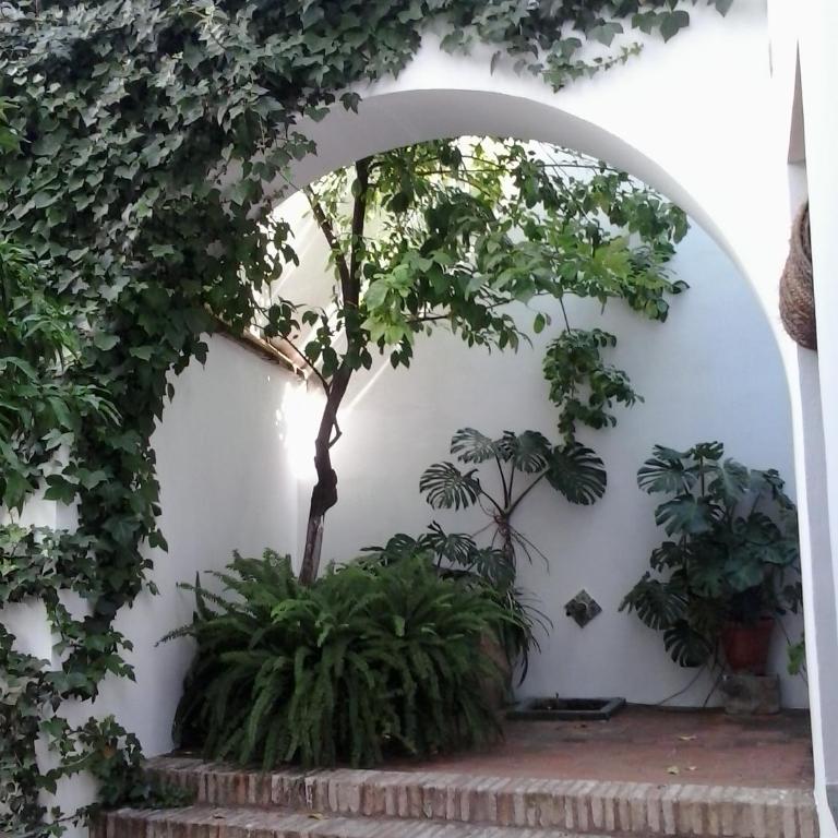 Entre2mezquitas 6 - Apartamento - 9