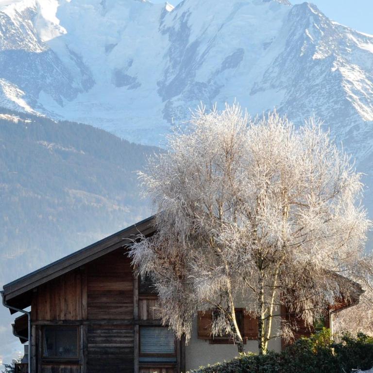 Chalet du MONT-BLANC - Chalet 4 Chambres - 21