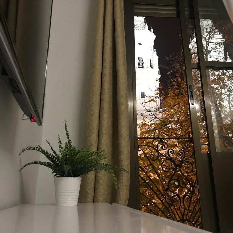 Apto con vistas a la catedral y aire acondicionado - Apartamento - 16