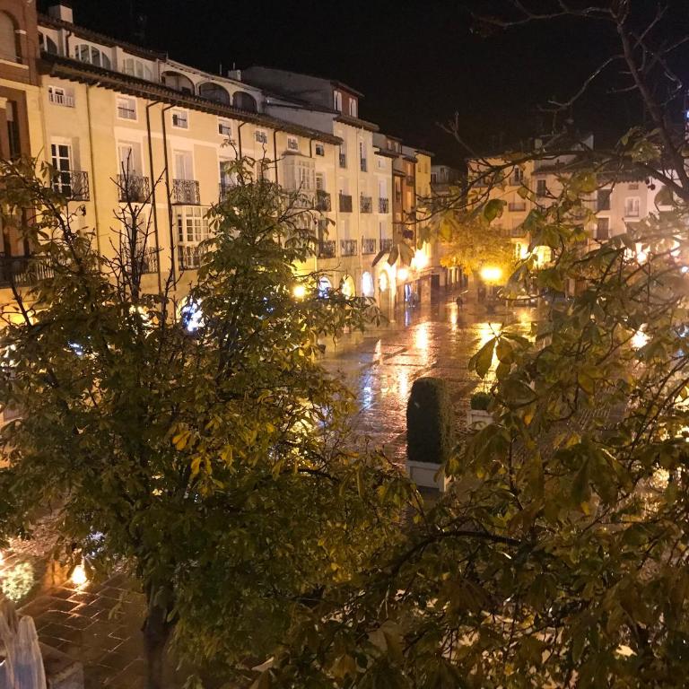 Apto con vistas a la catedral y aire acondicionado - Apartamento - 15