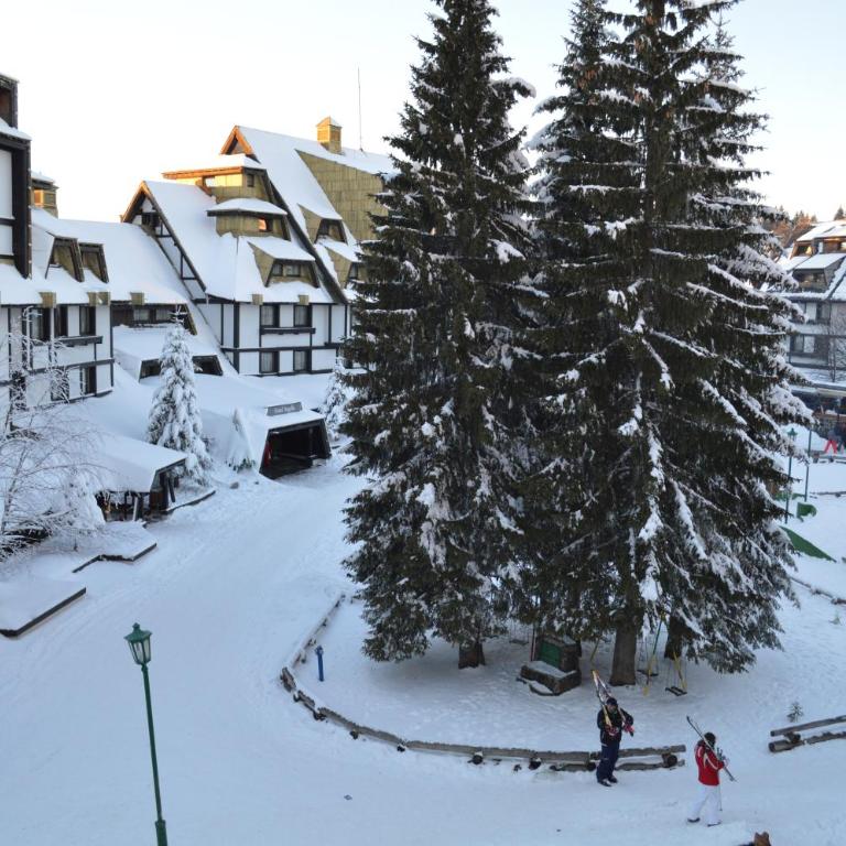 Apartments Suncani Vrhovi Kopaonik - Studio Apartment - 7